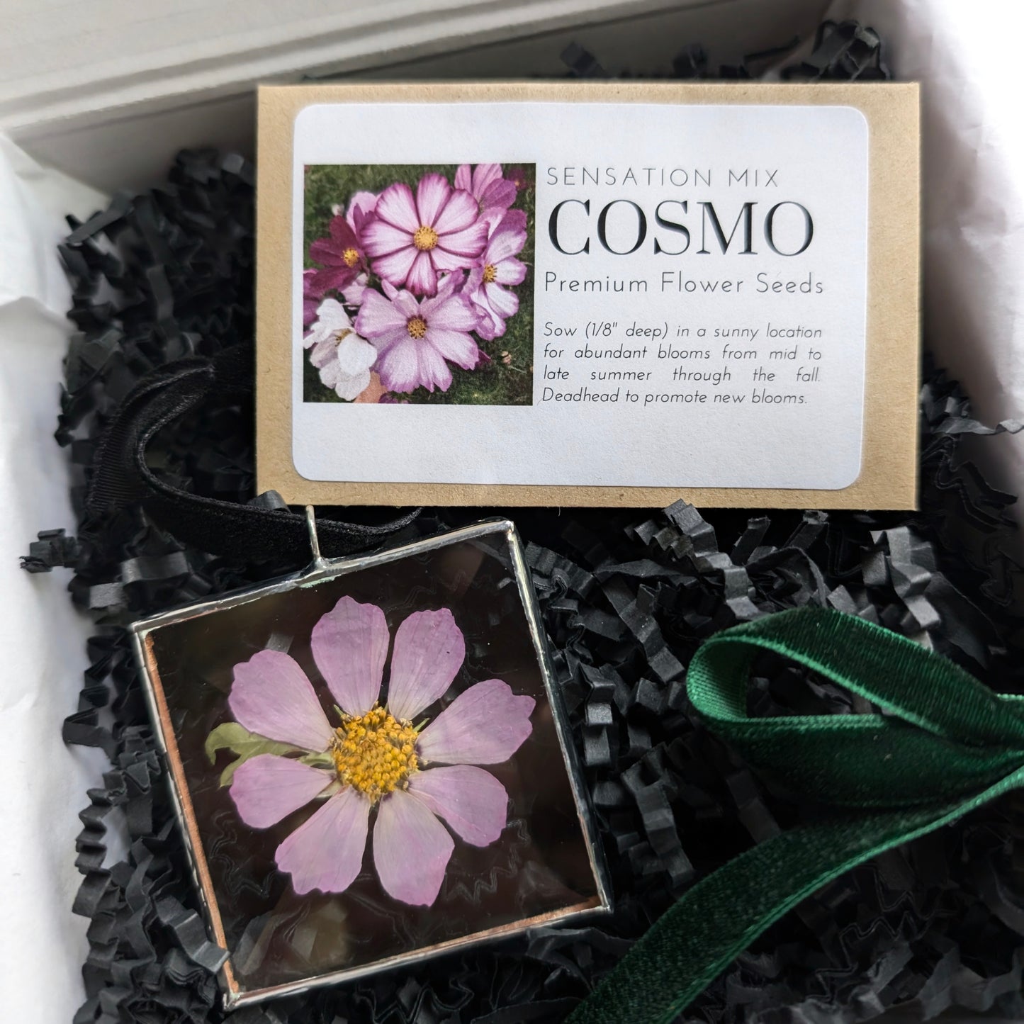 Cosmo Gift Set: Sensation Pink