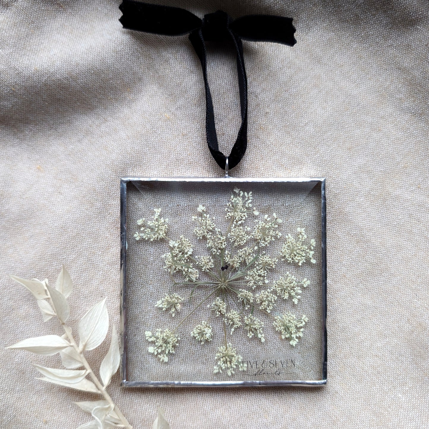 Queen Anne's Lace Floral Frame