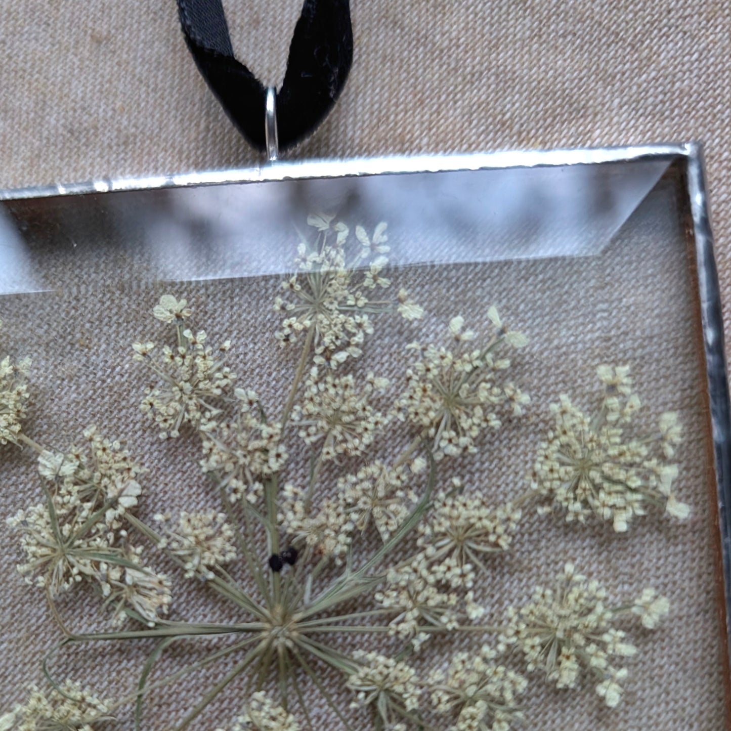 Queen Anne's Lace Floral Frame