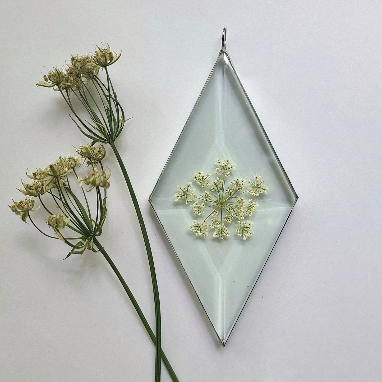 Queen Anne's Lace Suncatcher