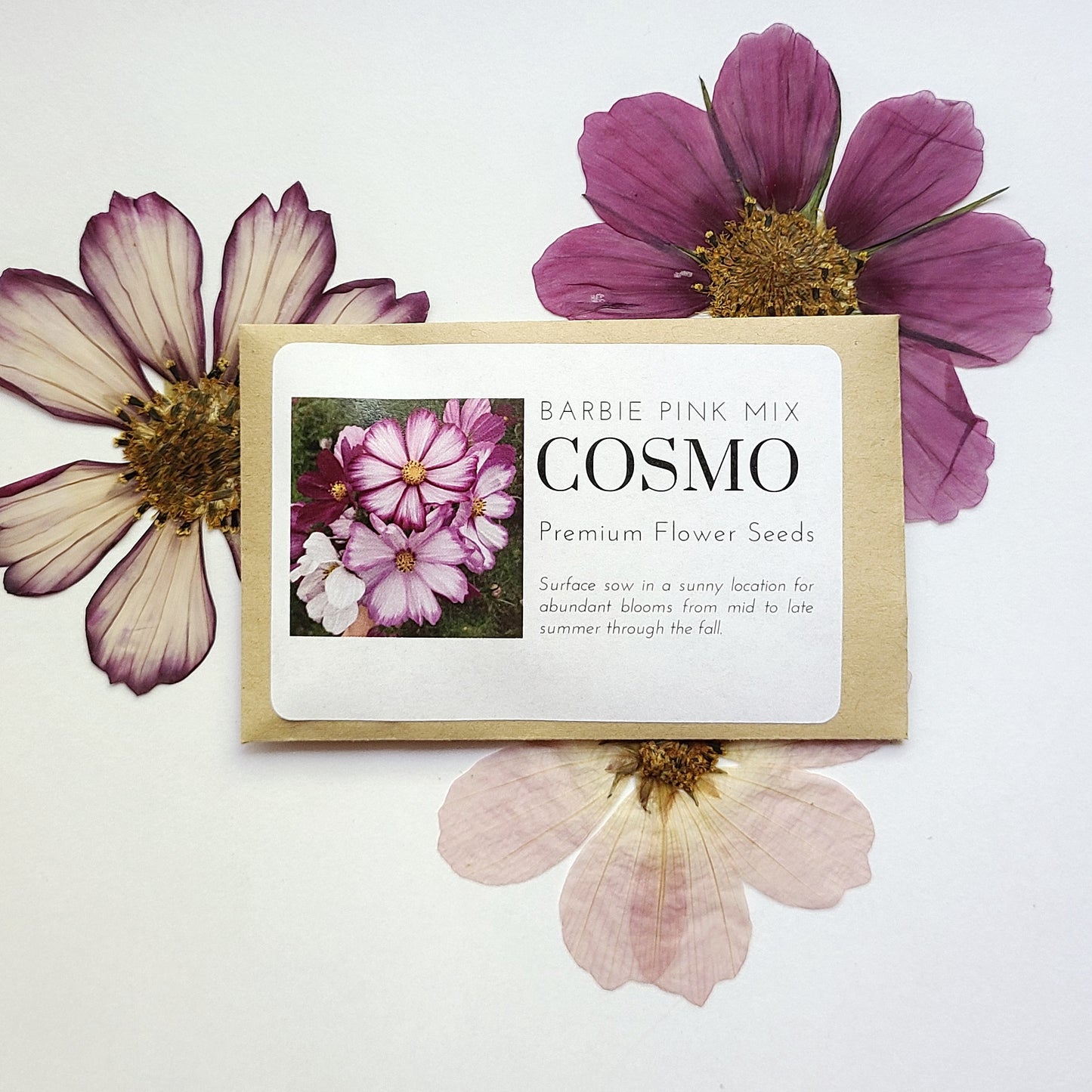 Sensation Cosmo Seeds