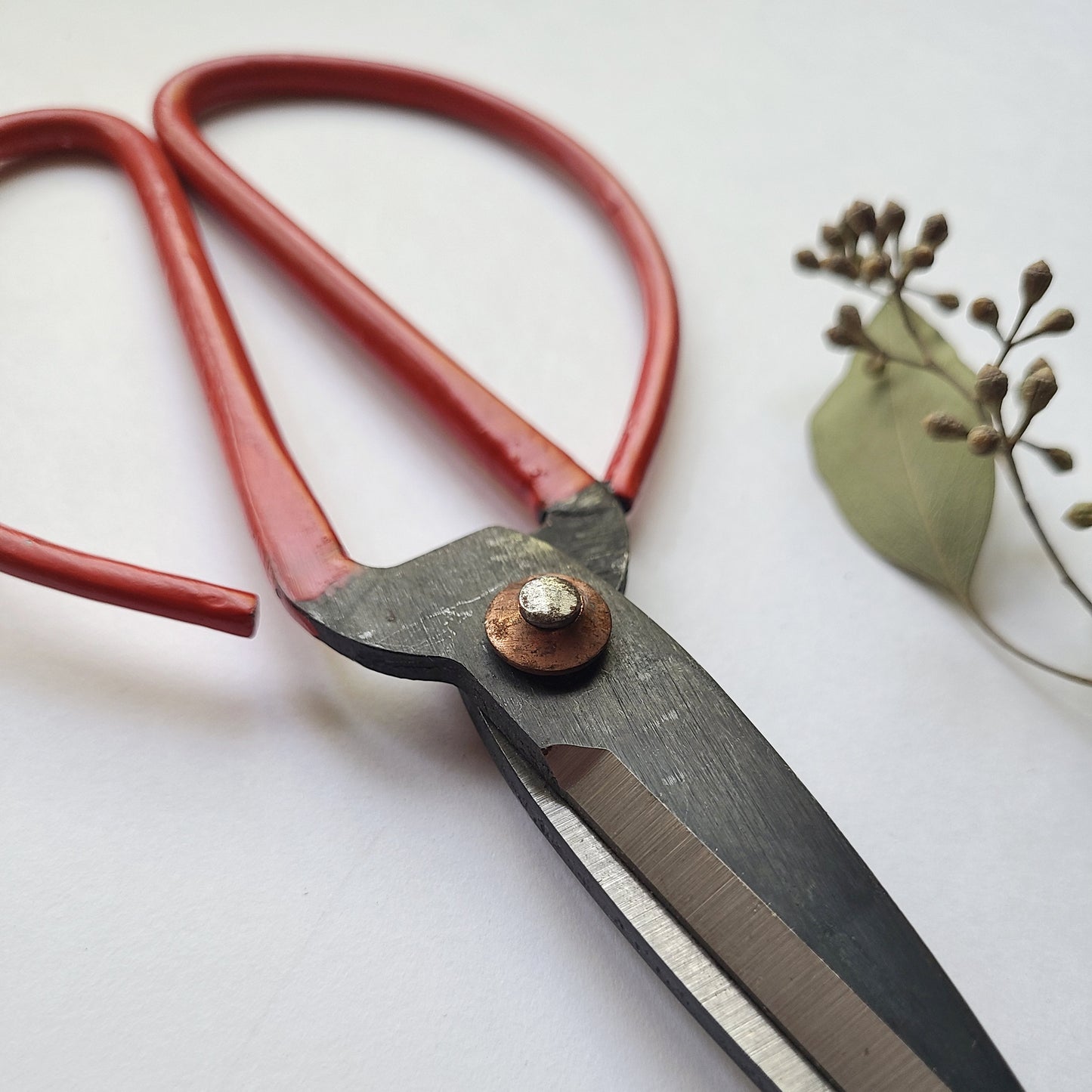 Floral Shears