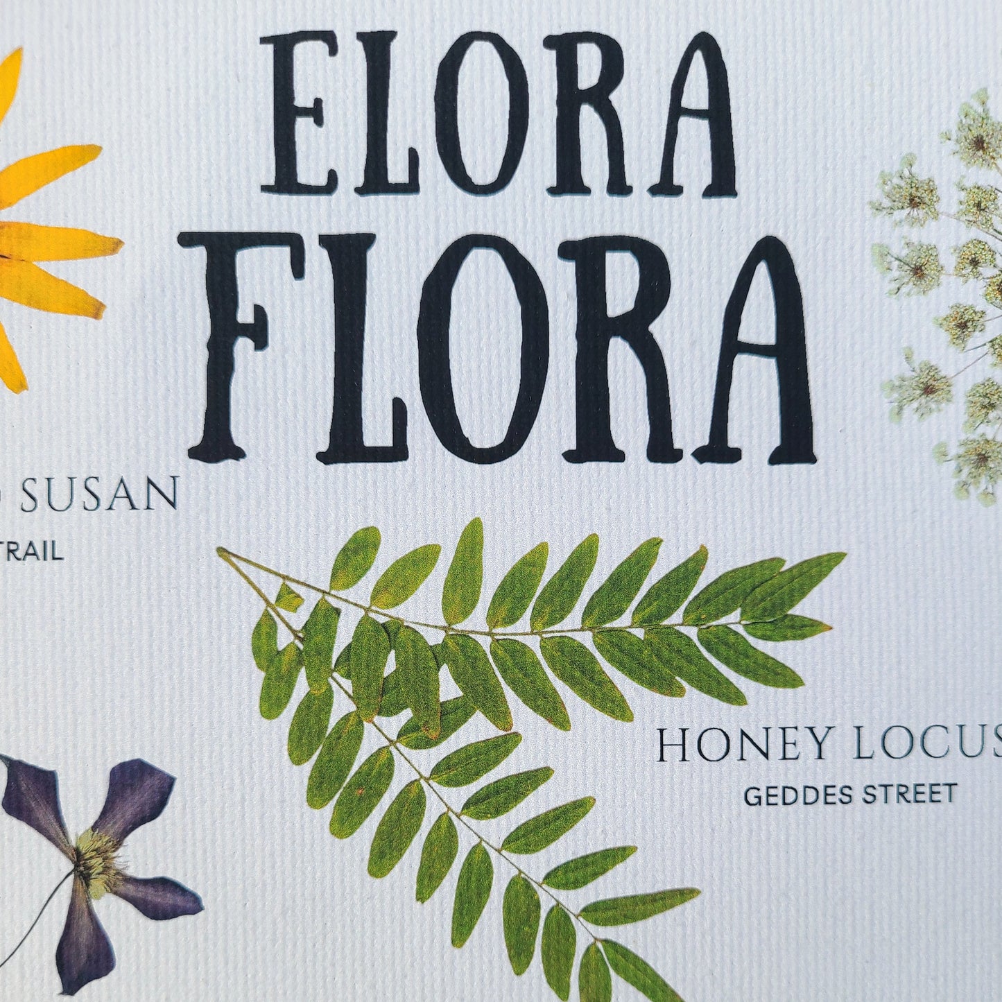 Elora Flora Botanical Print