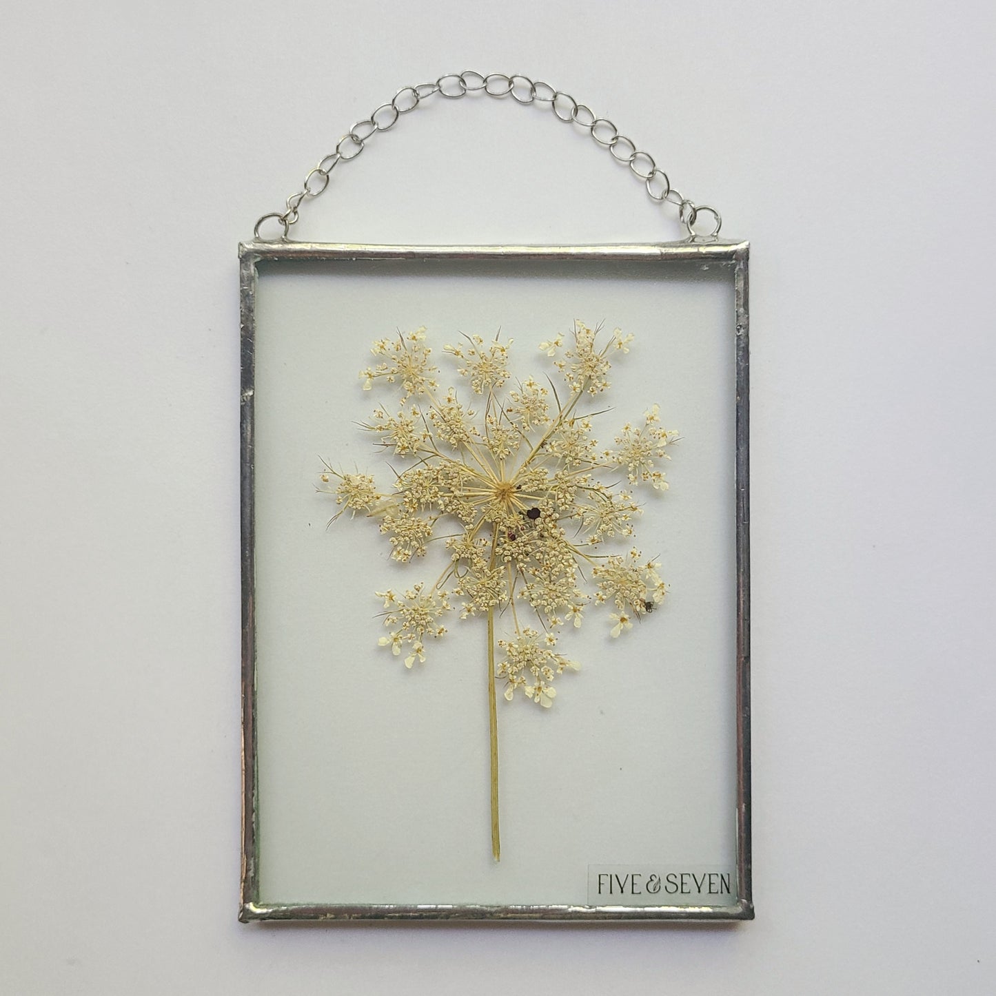 Queen Anne's Lace Floral Frame