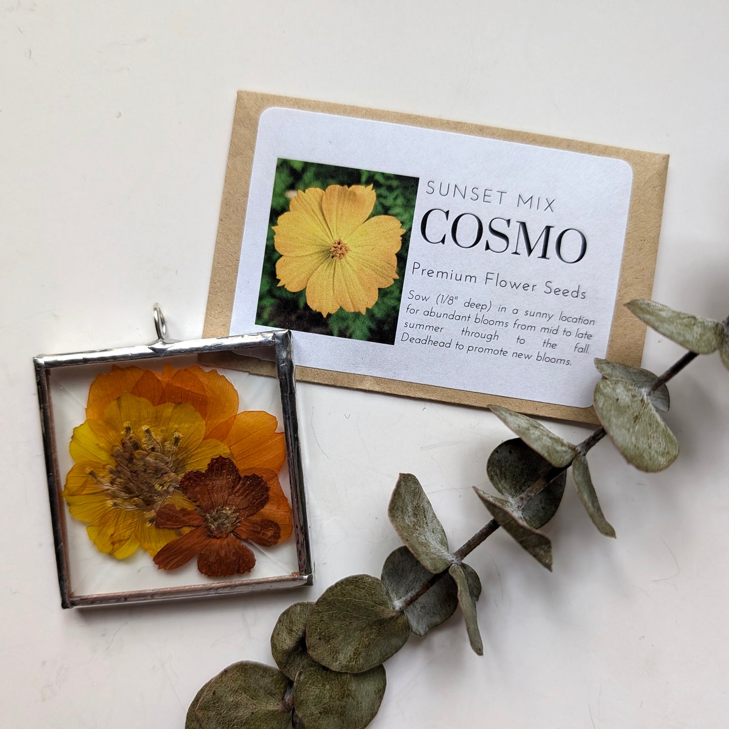 Cosmo Gift Set : Sunset Orange