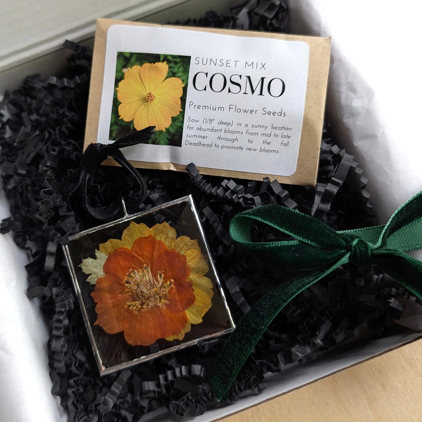 Cosmo Gift Set : Sunset Orange