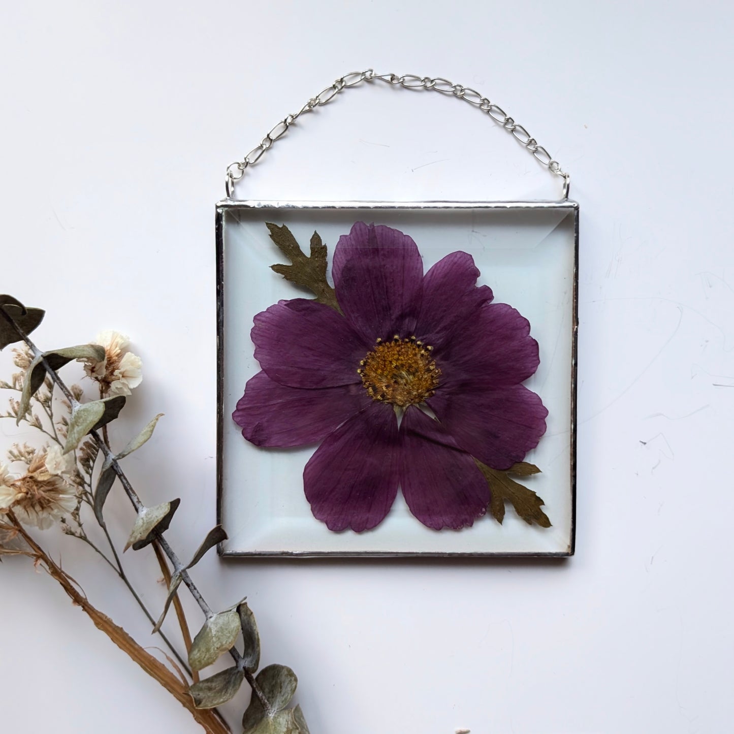 Purple Cosmo Floral Frame