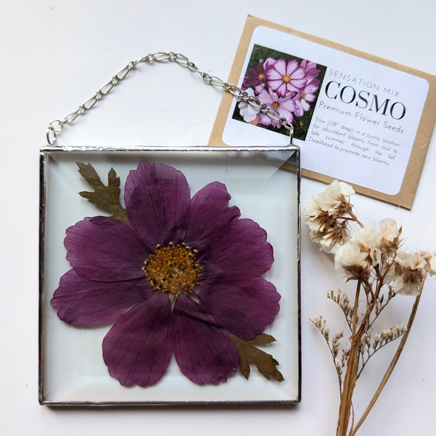 Purple Cosmo Floral Frame