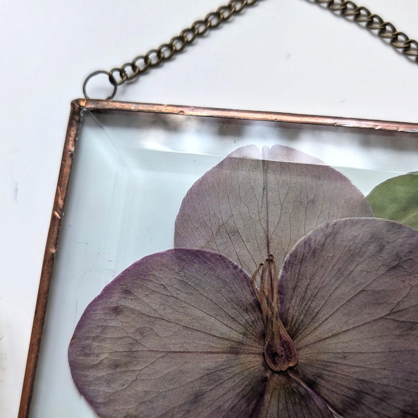 Hellebore Floral Frame