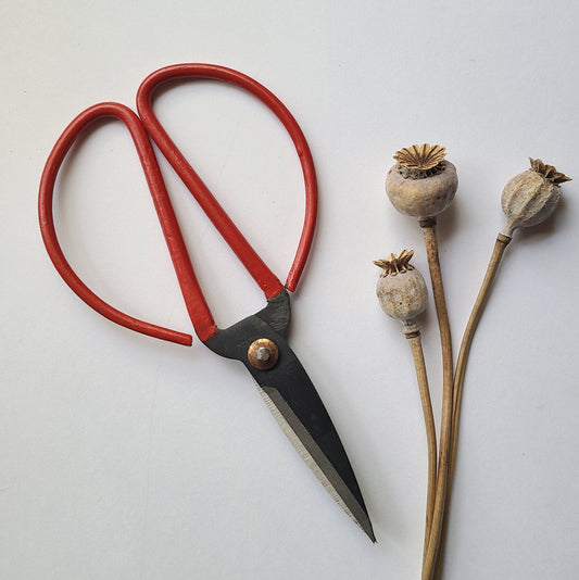 Floral Shears